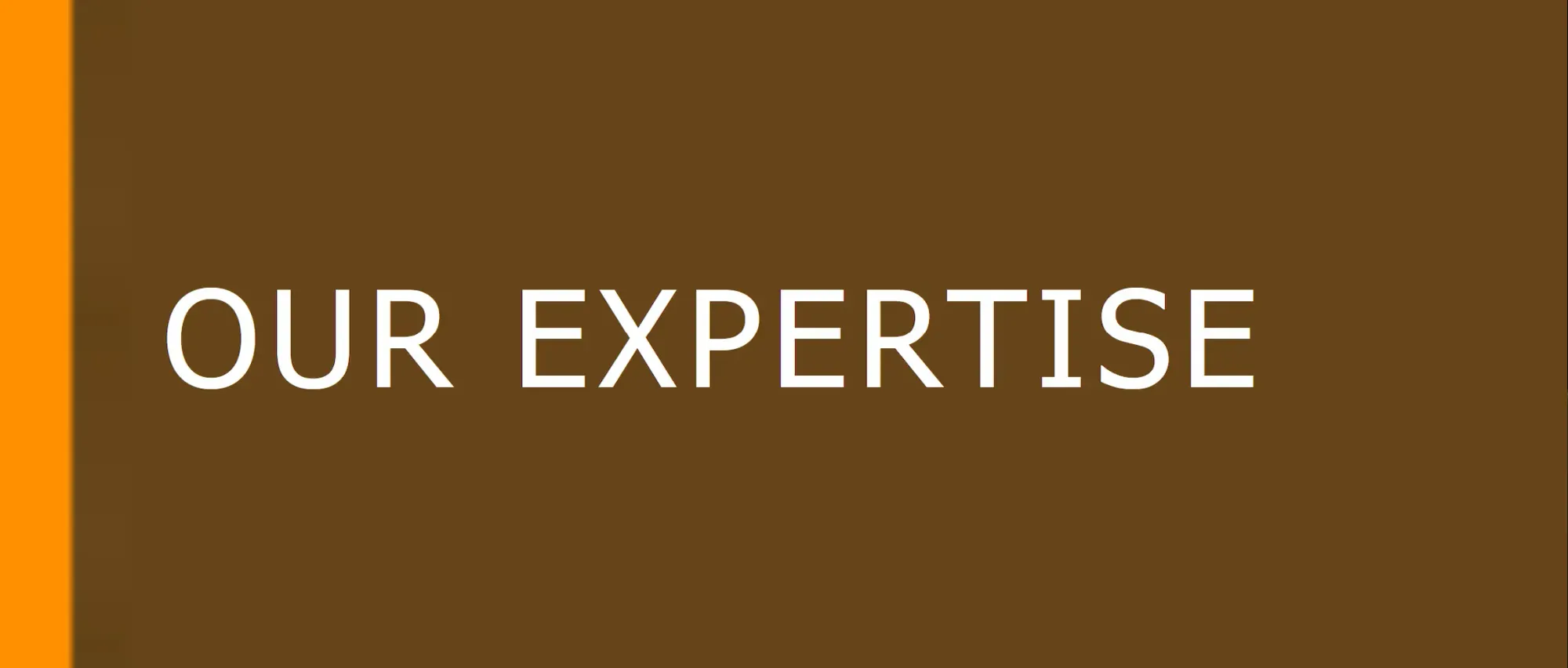 Our Expertise