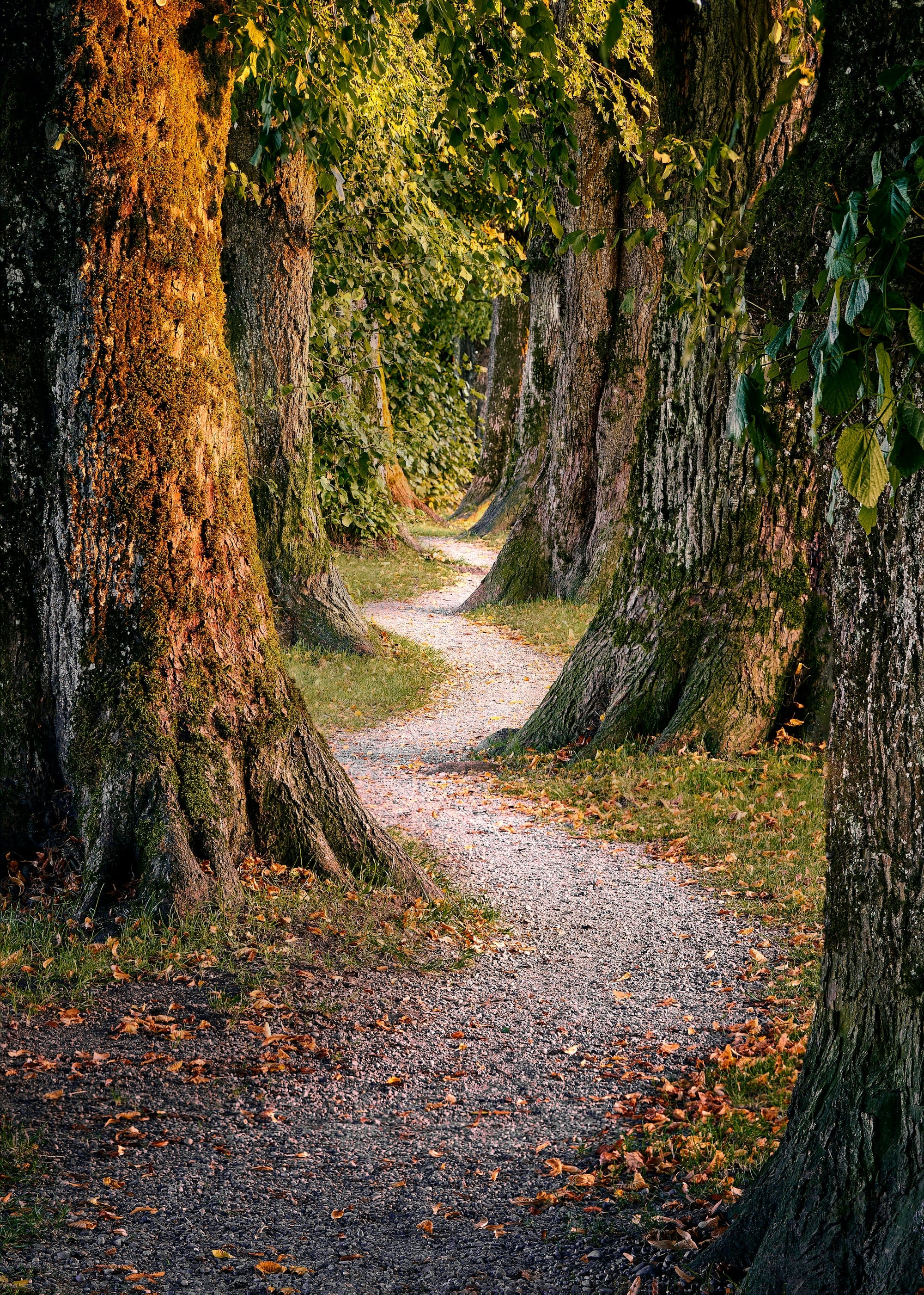 We will get you on the right path...